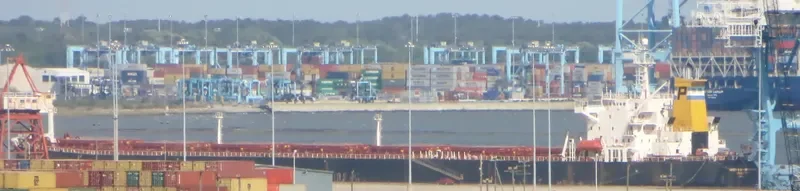 ELECTRONICA Bulk Carrier IMO 9087271 photo 6