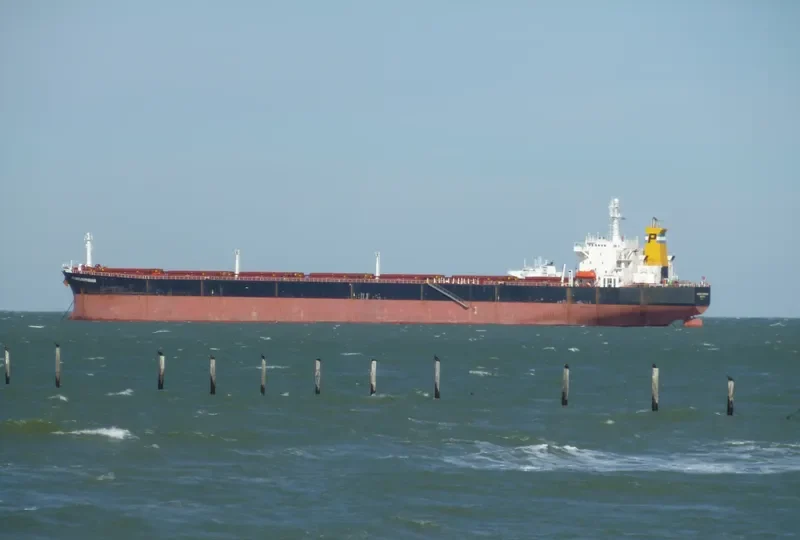 ELECTRONICA Bulk Carrier IMO 9087271 photo 8