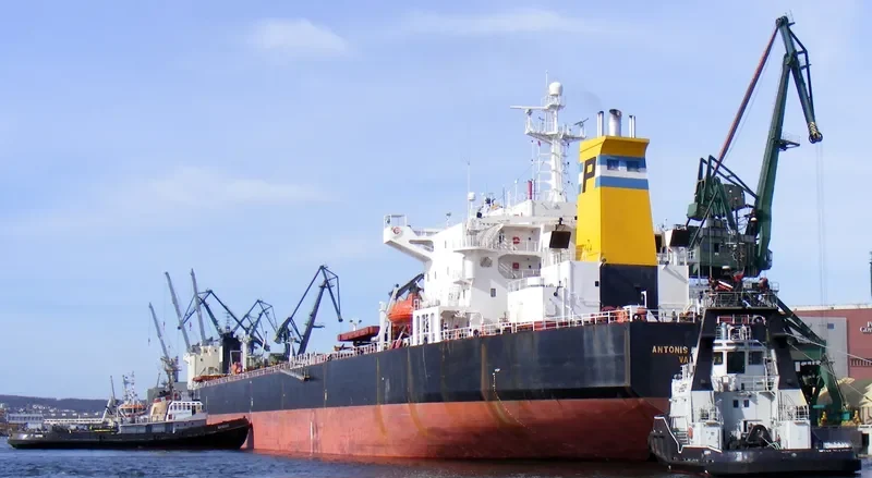 ELECTRONICA Bulk Carrier IMO 9087271 photo 10