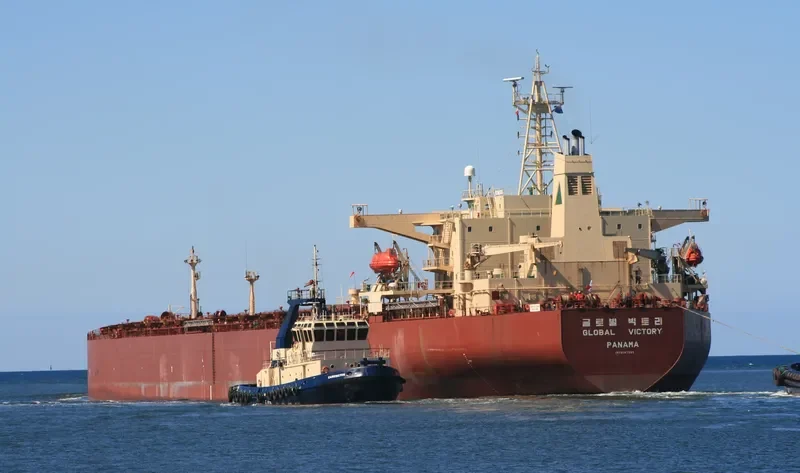 GLOBAL VICTORY Bulk Carrier IMO 9087283 photo 3