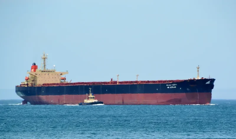 LISA II Bulk Carrier IMO 9087295 photo 2
