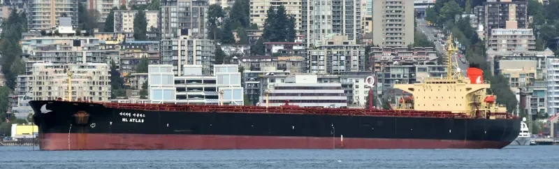 LISA II Bulk Carrier IMO 9087295 photo 4