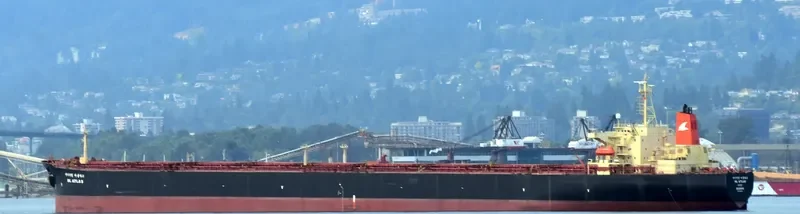 LISA II Bulk Carrier IMO 9087295 photo 5