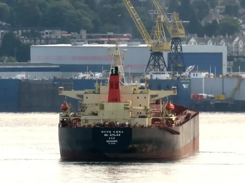 LISA II Bulk Carrier IMO 9087295 photo 6