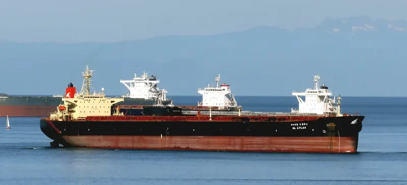LISA II Bulk Carrier IMO 9087295 photo 9