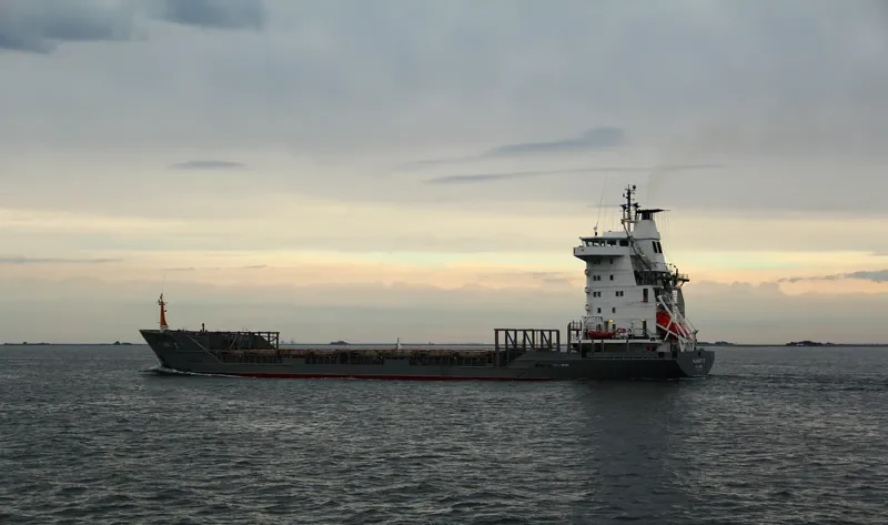 PLANET V General Cargo IMO 9087532 photo 9