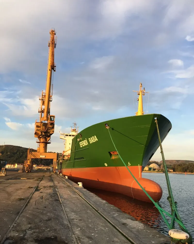 EFENDI BABA Container Ship IMO 9087544 photo 3