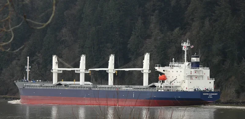 AARTI PREM Bulk Carrier IMO 9087738