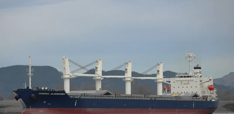 AARTI PREM Bulk Carrier IMO 9087738 photo 3