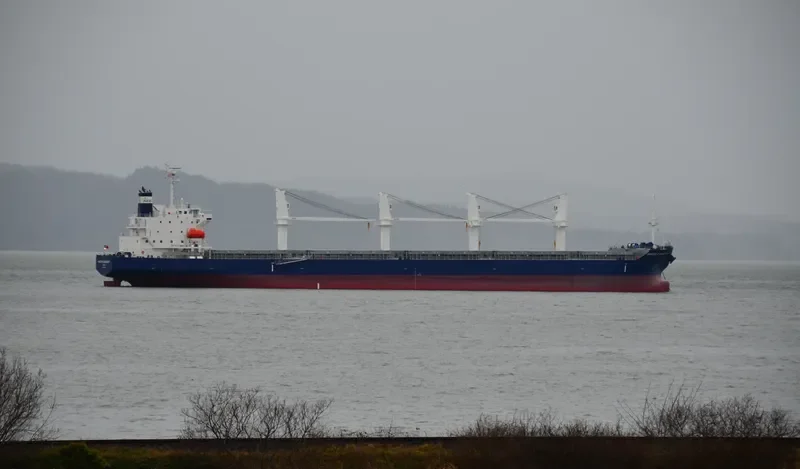 AARTI PREM Bulk Carrier IMO 9087738 photo 5