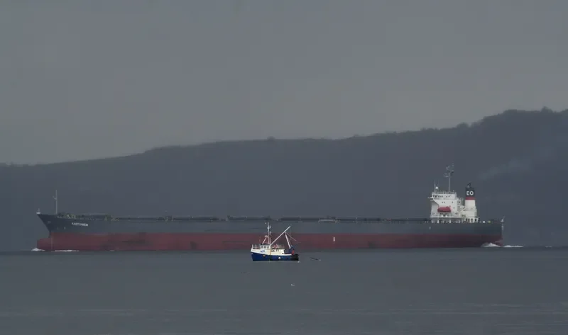 AARTI PREM Bulk Carrier IMO 9087738 photo 9