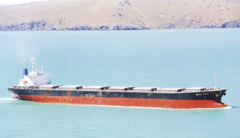 GUO DIAN 20 Bulk Carrier IMO 9087752