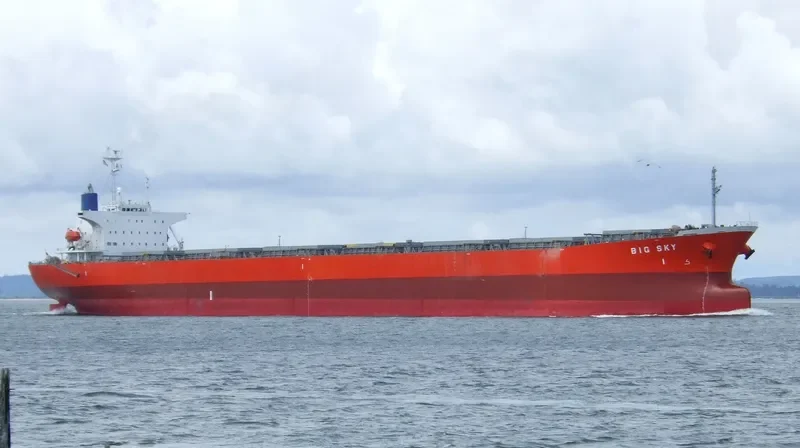 GUO DIAN 20 Bulk Carrier IMO 9087752 photo 3