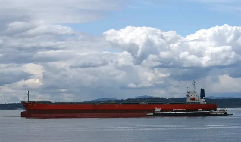 GUO DIAN 20 Bulk Carrier IMO 9087752 photo 5