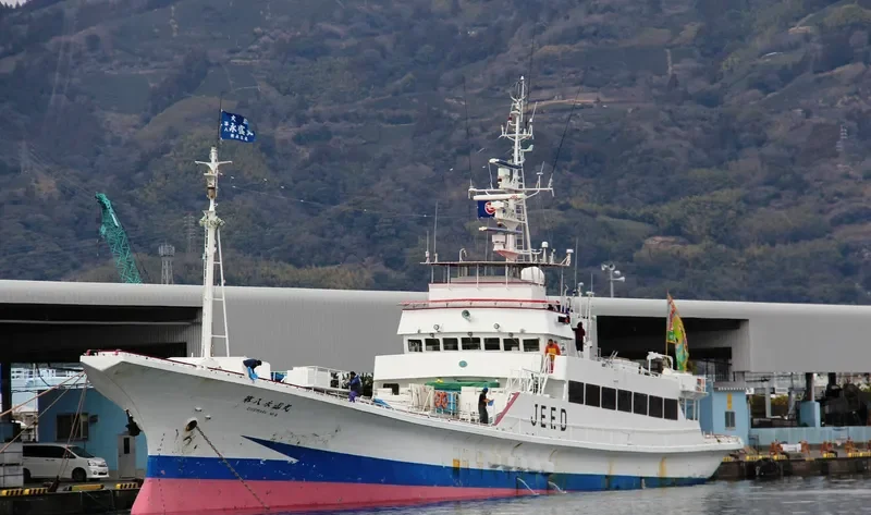 EISEI MARU NO.8 General Cargo IMO 9087790 photo 3