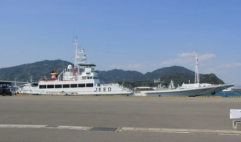 EISEI MARU NO.8 General Cargo IMO 9087790 photo 5