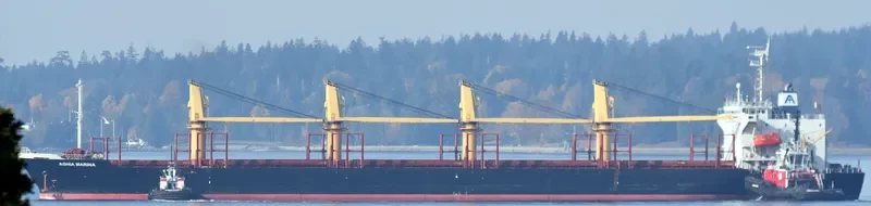 WORSHIP LIGHT Bulk Carrier IMO 9087805