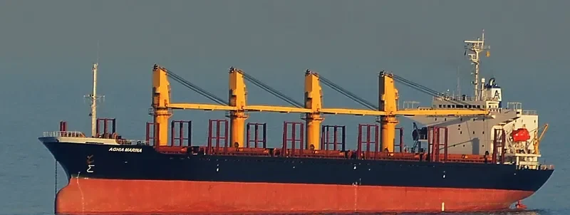 WORSHIP LIGHT Bulk Carrier IMO 9087805 photo 5