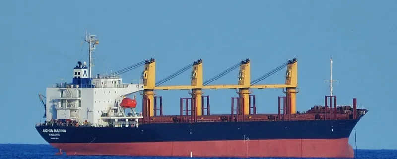 WORSHIP LIGHT Bulk Carrier IMO 9087805 photo 7