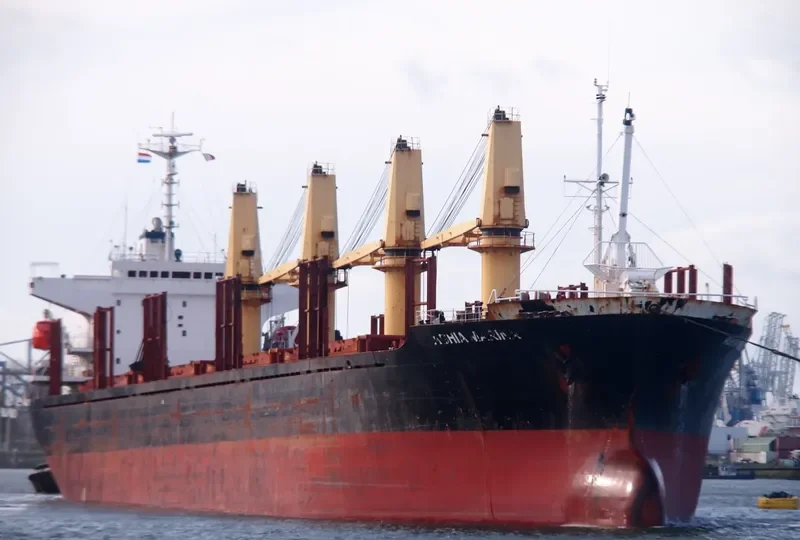 WORSHIP LIGHT Bulk Carrier IMO 9087805 photo 9