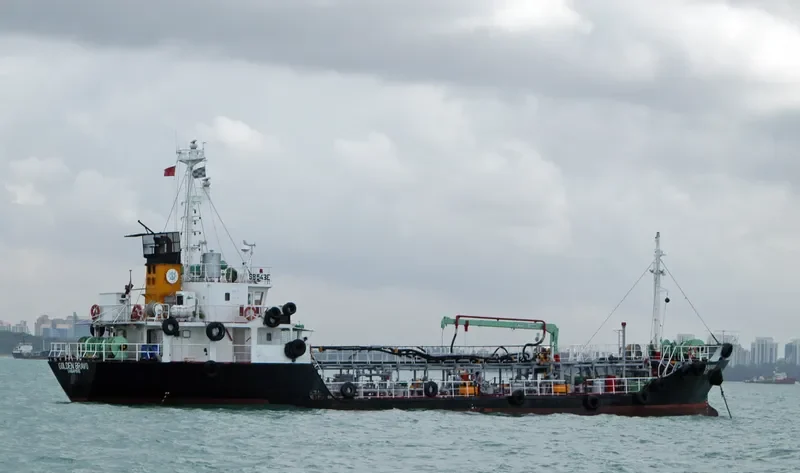 GOLDEN BRAVO General Cargo IMO 9088029 photo 3