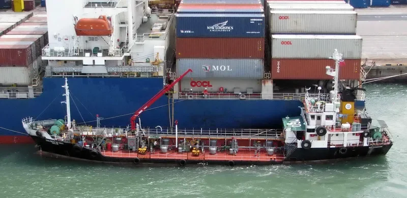 GOLDEN BRAVO General Cargo IMO 9088029 photo 4