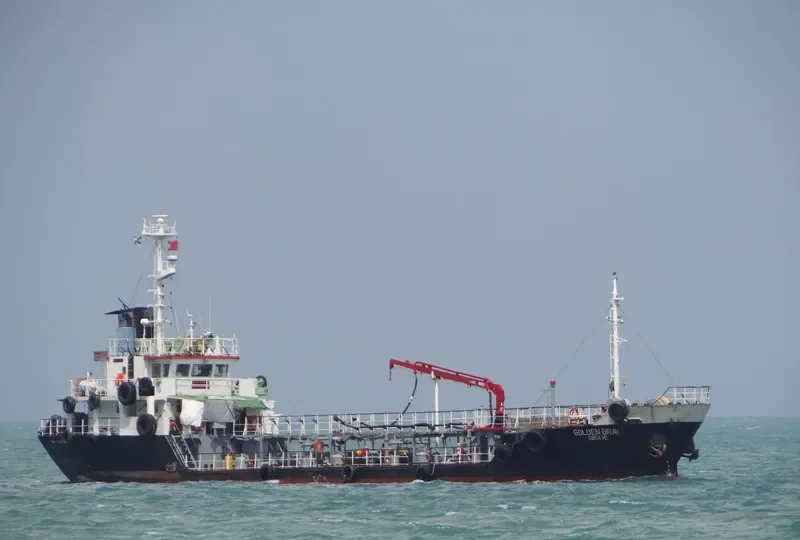 GOLDEN BRAVO General Cargo IMO 9088029 photo 5