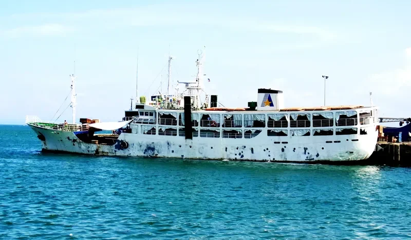 LADY MARY JOY 1 Passenger Ship IMO 9088081 photo 4
