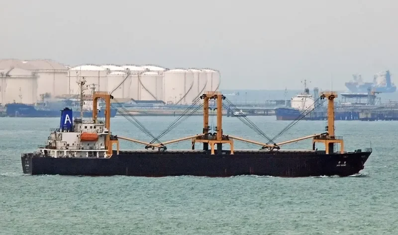 VISION GLOBAL General Cargo IMO 9088407 photo 3