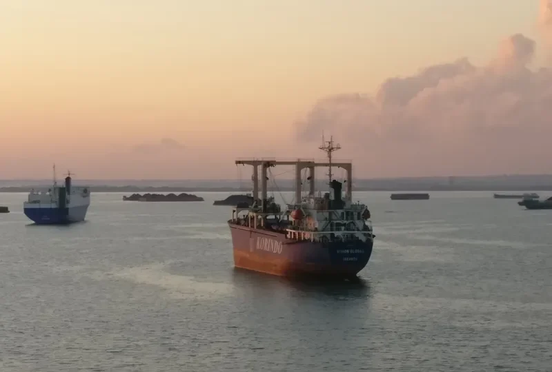 VISION GLOBAL General Cargo IMO 9088407 photo 4