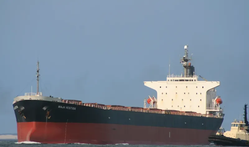 HUA HENG 165 Bulk Carrier IMO 9088562