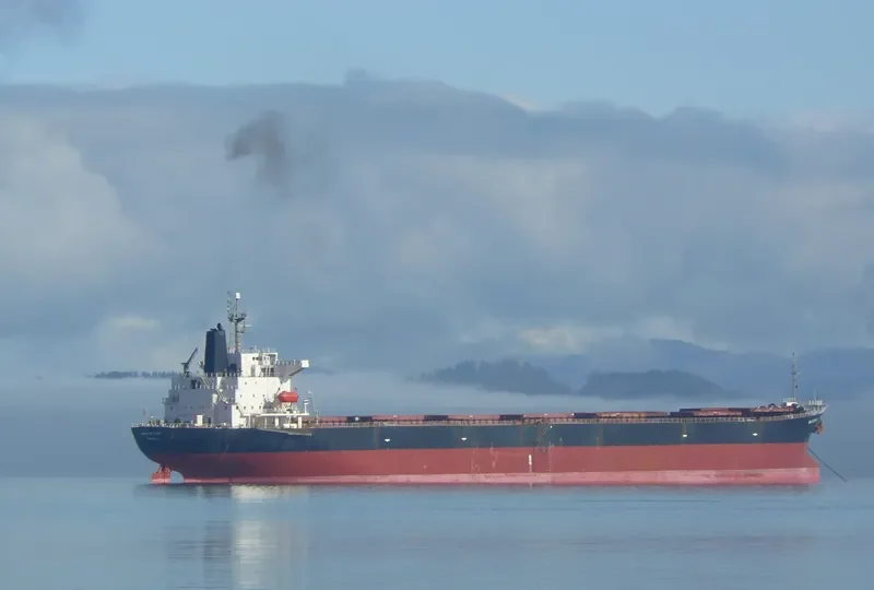 HUA HENG 165 Bulk Carrier IMO 9088562 photo 3