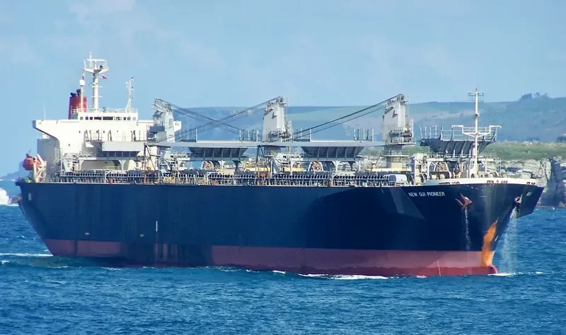 NEW OJI PIONEER Bulk Carrier IMO 9088574 photo 3