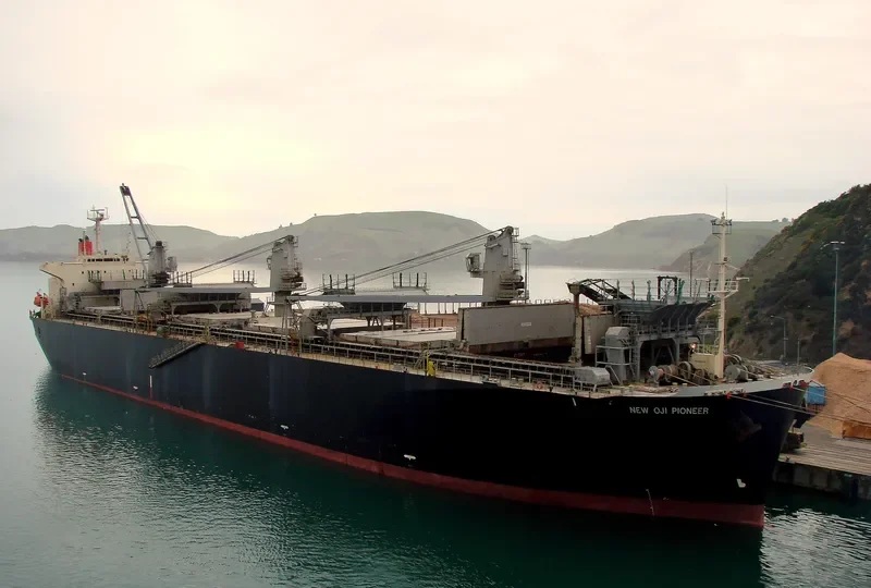 NEW OJI PIONEER Bulk Carrier IMO 9088574 photo 6