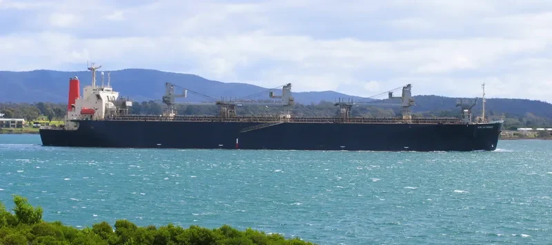 NEW OJI PIONEER Bulk Carrier IMO 9088574 photo 7