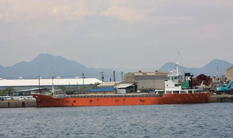 DAINICHI MARU NO.10 General Cargo IMO 9088615