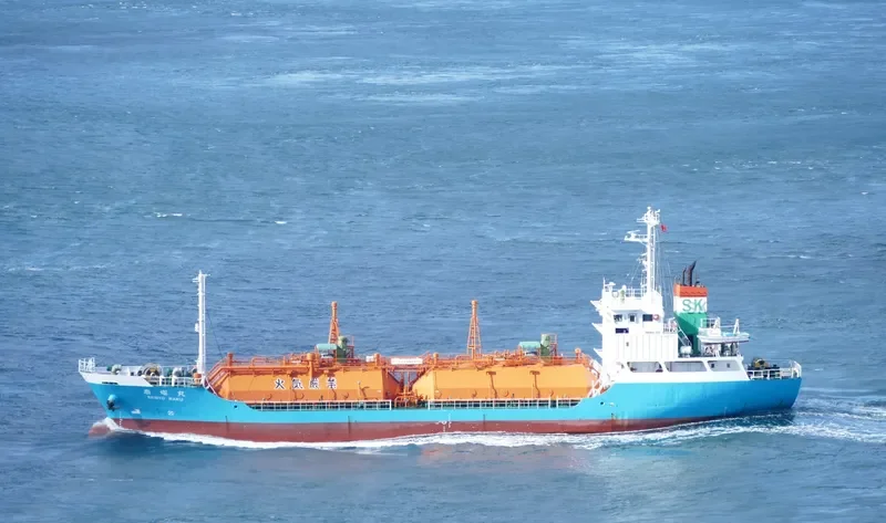 SENYO MARU General Cargo IMO 9088627 photo 10