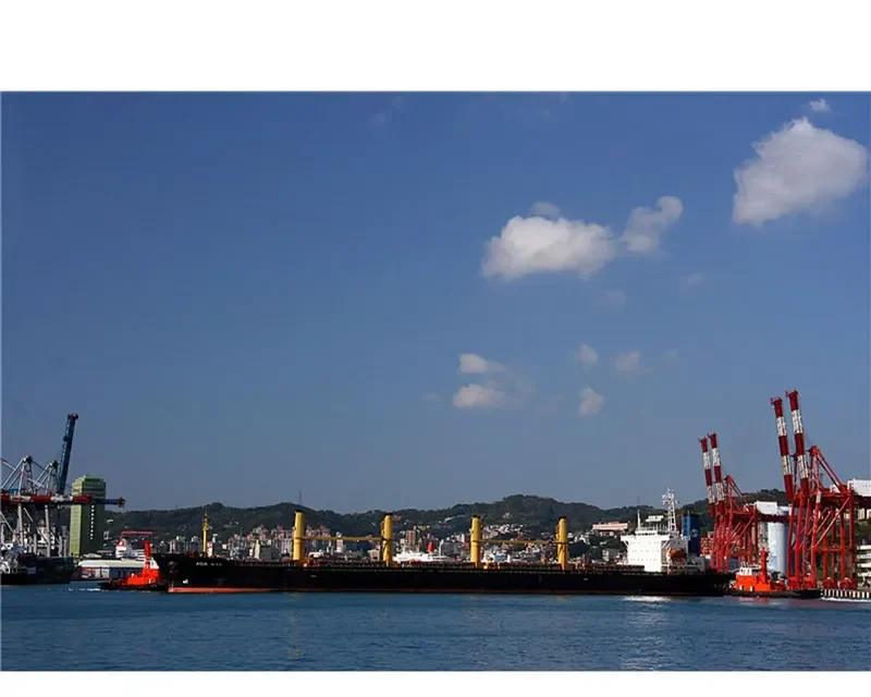 FU WANG Bulk Carrier IMO 9088639