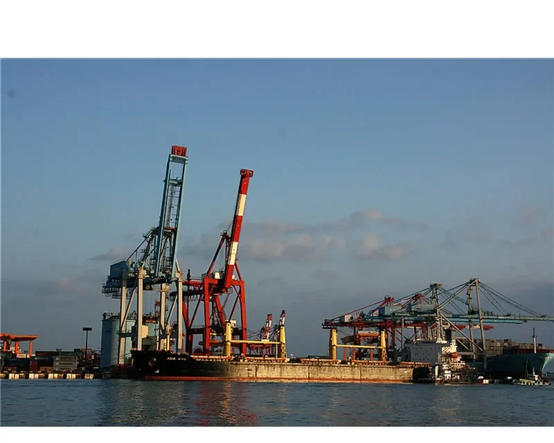 FU WANG Bulk Carrier IMO 9088639 photo 2