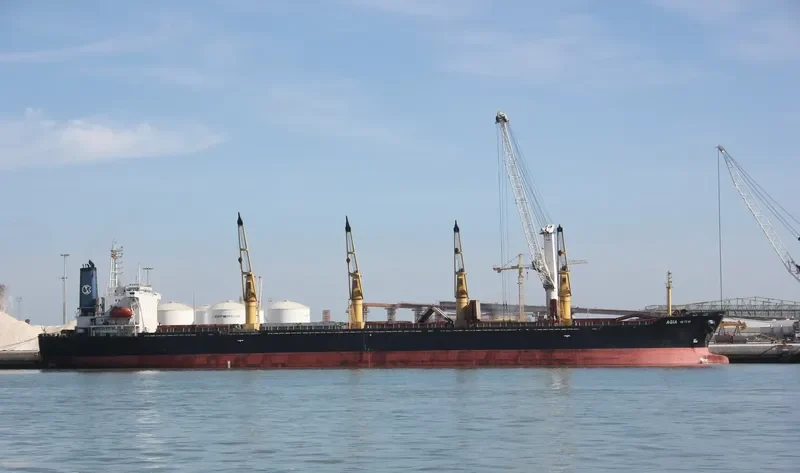 FU WANG Bulk Carrier IMO 9088639 photo 3