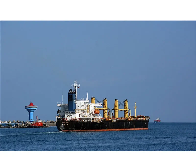 FU WANG Bulk Carrier IMO 9088639 photo 6