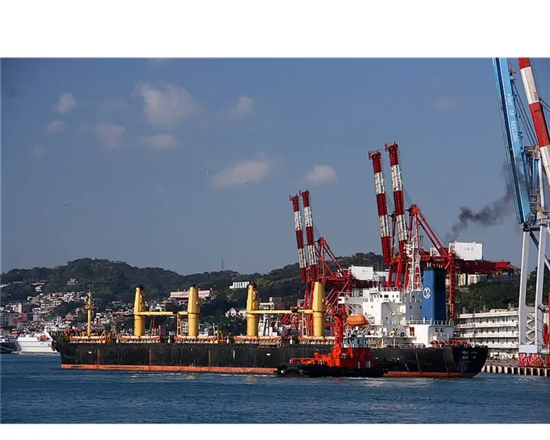 FU WANG Bulk Carrier IMO 9088639 photo 8