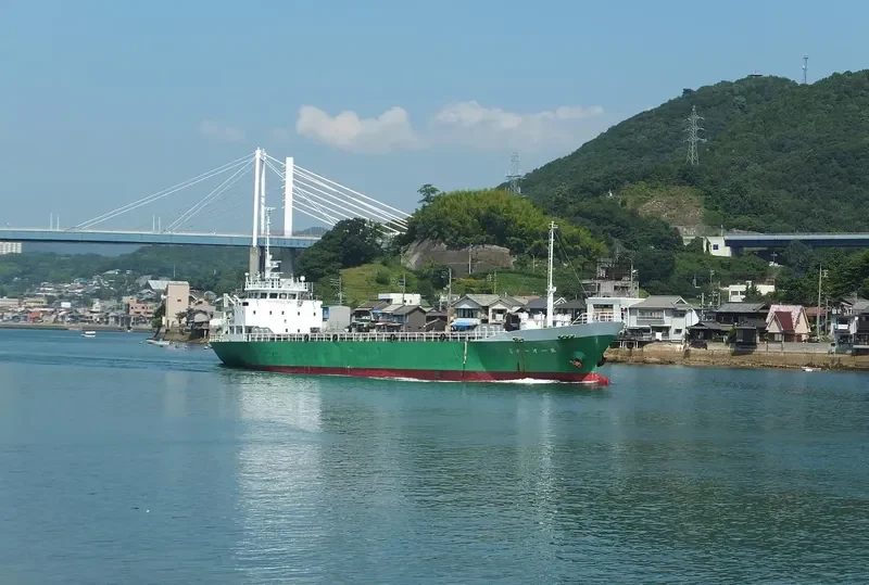 ALLIANCE NO.1 General Cargo IMO 9088770 photo 2