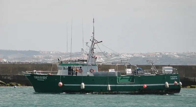 PARMA General Cargo IMO 9088926 photo 7