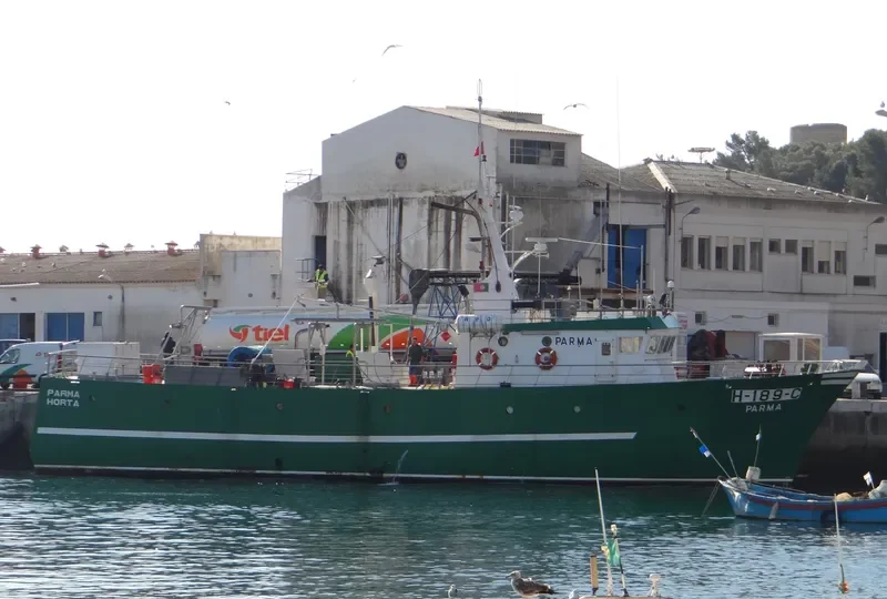 PARMA General Cargo IMO 9088926 photo 9