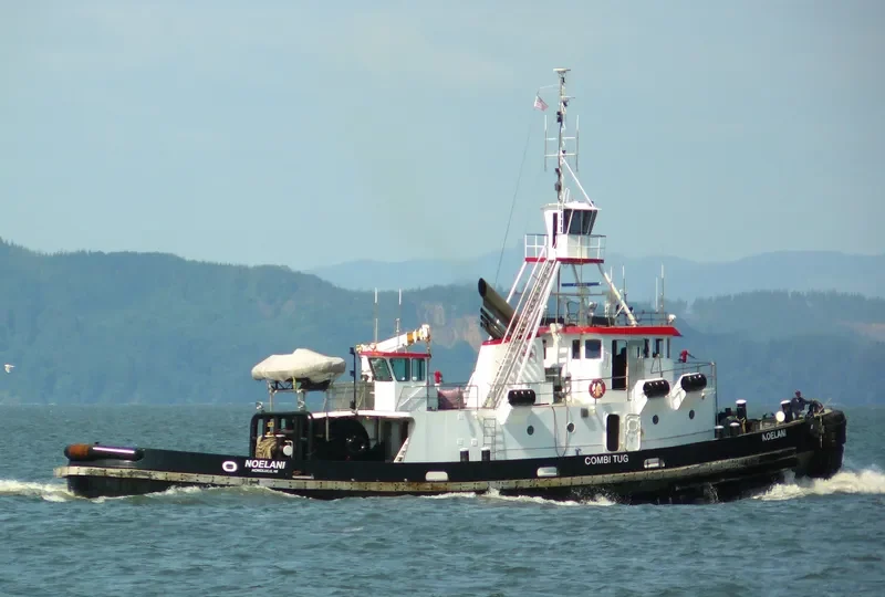 NOELANI General Cargo IMO 9089231 photo 9