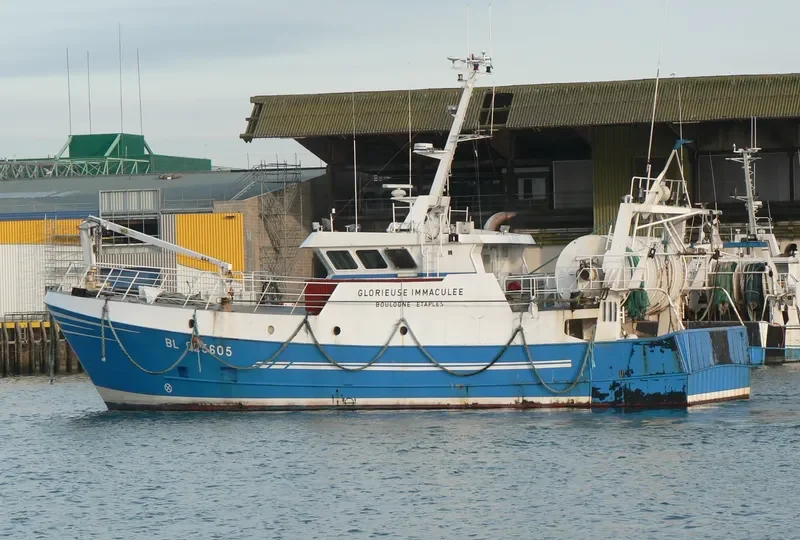 G IMMACULEE General Cargo IMO 9089308 photo 3
