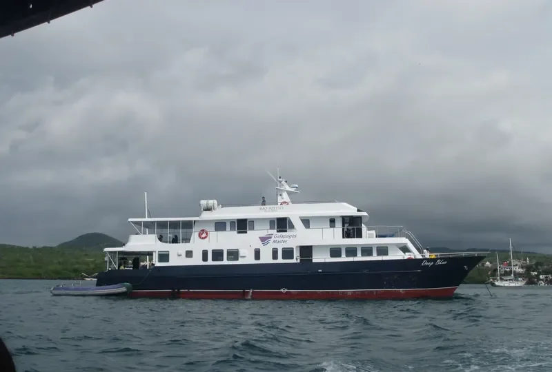 DEEP BLUE Passenger Ship IMO 9091571