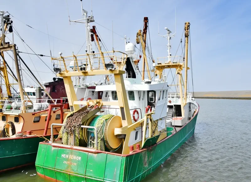HEIN SENIOR General Cargo IMO 9092642 photo 3