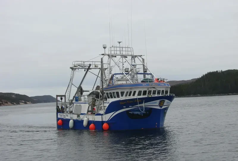 CLEARS COVE PRIDE General Cargo IMO 9094171